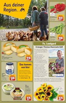 Pflanzen im aktuellen REWE Prospekt (Mönchengladbach) Pflanzen im REWE Prospekt "Dein Markt" mit 28 Seiten (Mönchengladbach)