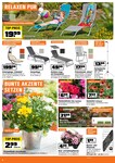 Blumen Blumen