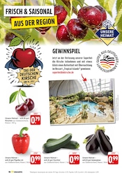 Paprika im E center Prospekt in Reutlingen Aktueller E center Prospekt mit Paprika, "Aktuelle Angebote", Seite 4