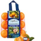 Südafrik. Zitronen von SanLucar für 1,49 € bei Kaufland im Angebot Südafrik. Zitronen von SanLucar im aktuellen Kaufland Prospekt