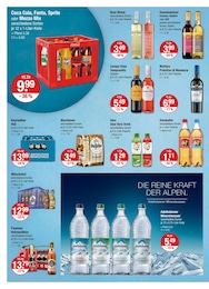 V-Markt Cola im Prospekt 