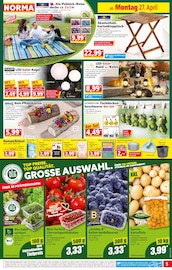 Aktueller Norma Prospekt mit Tischdecke, "Mehr fürs Geld", Seite 5