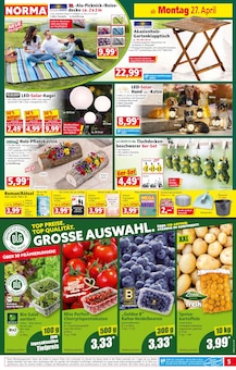 Kartoffeln im Norma Prospekt "Mehr fürs Geld" mit 19 Seiten (Wuppertal)