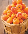 Promo ABRICOT MUR A POINT. ITM TERROIRS à 2,99 € dans le catalogue Intermarché à Illiers-Combray