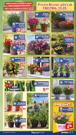 Aktueller CENTERSHOP Prospekt mit Zimmerpflanzen, "Da geht was.", Seite 5