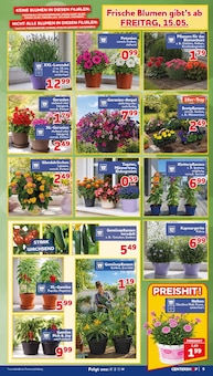 Paprika im CENTERSHOP Prospekt "Da geht was." mit 20 Seiten (Krefeld)