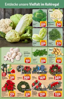 Pflanzen im aktuellen REWE Prospekt (Braunschweig) Pflanzen im REWE Prospekt "Dein Markt" mit 36 Seiten (Braunschweig)
