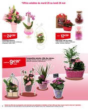 Jardinage Angebote im Prospekt "Carrefour" von Carrefour Jardinage Angebote im Prospekt "Carrefour" von Carrefour auf Seite 4