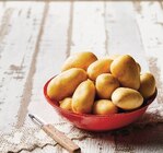Pomme de terre de consommation à chair ferme - U - U Express à Houilles Pomme de terre de consommation à chair ferme - U en promo chez U Express Houilles à 2,25 €