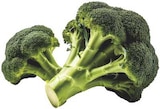Broccoli Angebote bei combi Osnabrück für 1,11 €
