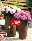 Aktuelle Blumentopf Angebote bei Raiffeisenmarkt in Münster Aktuelles Pflanzvase Holzoptik Angebot bei Raiffeisenmarkt in Münster ab 34,99 €
