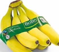 Bio-Bananen bei Netto Marken-Discount in Kempen Bio-Bananen im Angebot bei Netto Marken-Discount Kempen für 1,49 €