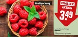 Himbeeren bei REWE im Filderstadt Prospekt für 3,49 €