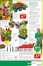 Gartenwerkzeug im BayWa Bau- und Gartenmärkte Prospekt in Reutlingen Aktueller BayWa Bau- und Gartenmärkte Prospekt mit Gartenwerkzeug, "Alles für heimische Wildvögel", Seite 8