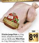 Junge Pute im Angebot bei E center in Böblingen Junge Pute Angebote von AIA bei E center Böblingen für 8,99 €