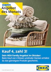 Aktueller IKEA Prospekt mit Sofa, "Angebot des Monats", Seite 1