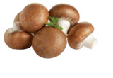 EDEKA Waldkirchen - Champignons Angebot im Prospekt Champignons bei EDEKA im Waldkirchen Prospekt für 1,49 €