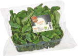 tegut - tegut... Bio-Feldsalat Angebot im Prospekt tegut... Bio-Feldsalat bei tegut im Prospekt "" für 1,99 €
