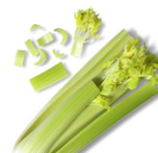 Span. Staudensellerie Angebote bei Kaufland Herne für 0,99 €