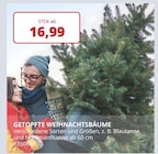 Labertaler Fachmarkt - GETOPFTE WEIHNACHTSBÄUME Angebot im Prospekt GETOPFTE WEIHNACHTSBÄUME bei Labertaler Fachmarkt im Prospekt "" für 16,99 €