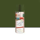 Promo Peinture Belle couleur spray aérosol multi-supports vert feuille 400 ML à 5,49 € dans le catalogue Décor Discount à Fenouillet