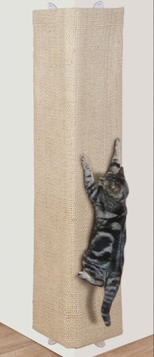 Katzenzubehör bei POCO Katzenzubehör für 9,99 € bei POCO im Prospekt "SSV - Spar-Preise ohne Ende"