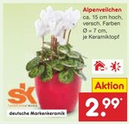Alpenveilchen im aktuellen Netto Marken-Discount Prospekt für 2,99 €