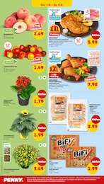 Zimmerpflanzen Angebot & Preis im aktuellen Penny Prospekt Zimmerpflanzen Angebot im aktuellen Penny Prospekt auf Seite 30