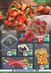 Erdbeeren im E center Prospekt in Pirna Aktueller E center Prospekt mit Erdbeeren, "Wir lieben Lebensmittel!", Seite 7