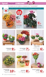 Promos Plante Verte dans le catalogue "Halloween À PRIX BAS" de Super U Plante Verte en promo dans le catalogue Super U à la page 32