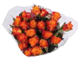 Sonnenblumen im Angebot bei EDEKA Frischemarkt in Rostock Sonnenblumen Angebote bei EDEKA Frischemarkt Rostock für 4,99 €