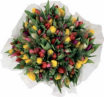 Tulpen Karneval im aktuellen aktiv & irma Prospekt