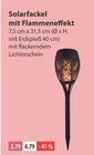 Gartenbeleuchtung im V-Markt Prospekt Solarfackel mit Flammeneffekt im aktuellen V-Markt Prospekt für 2,79 €
