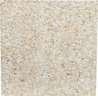 Dalle gravillonnée 40x40cm - Carrefour à Créteil Dalle gravillonnée 40x40cm en promo chez Carrefour Créteil à 4,99 €