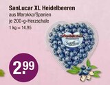 XL Heidelbeeren von San Lucar im aktuellen V-Markt Prospekt für 2,99 €
