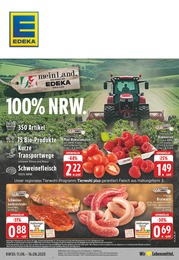 EDEKA Prospekt für Willich: "Aktuelle Angebote", 24 Seiten, 11.08.2025 - 16.08.2025
