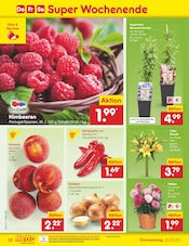 Deko im Netto Marken-Discount Prospekt in Schwäbisch Gmünd Aktueller Netto Marken-Discount Prospekt mit Deko, "Aktuelle Angebote", Seite 52