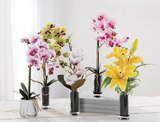 Fleurs artificielles "effet naturel" orchidée, lys, magnolia dans un vase ou pot en verre - BELLA CASA en promo chez Norma Schiltigheim à 9,99 €