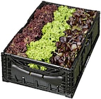 Aktuelle Salat Angebote bei METRO in Duisburg Aktuelles Salat Mix Angebot bei METRO in Duisburg ab 5,79 €