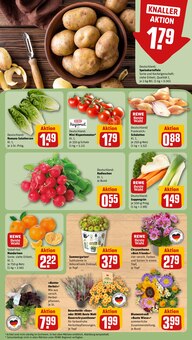 Kartoffeln im REWE Prospekt "Dein Markt" mit 20 Seiten (Dresden)