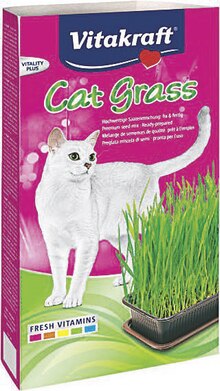 Alimentation - Vitakraft dans le catalogue Casino Supermarchés Herbe à chat cat grass - Vitakraft à 2,18 € en promo chez Casino Supermarchés