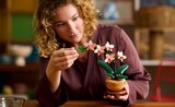 Aktuelle Lego Angebote bei Penny in Cottbus Aktuelles Botanicals Mini-Orchidee Angebot bei Penny in Cottbus ab 19,99 €