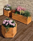 Blumenkasten Toscana Quadratisch im Angebot bei Hagebaumarkt in Mainz Blumenkasten Toscana Quadratisch Angebote bei Hagebaumarkt Mainz für 59,99 €