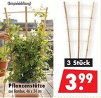 Aktuelles Pflanzenstütze Angebot bei Mäc-Geiz in Dresden ab 3,99 €