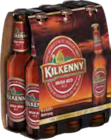 Guinness Extra Stout oder Kilkenny Irish Beer Angebot im Trinkgut Prospekt Guinness Extra Stout oder Kilkenny Irish Beer im Trinkgut Prospekt zum Preis von 4,99 €