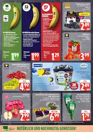 EDEKA Pflanzen im Prospekt 