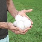 Filterbälle für Sandfilteranlagen Angebote bei Thomas Philipps Neubrandenburg für 9,99 €