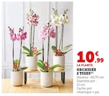 Super U Noisy-le-Grand - Promo ORCHIDÉE 2 TIGES Promo ORCHIDÉE 2 TIGES à 10,99 € dans le catalogue Super U à Noisy-le-Grand