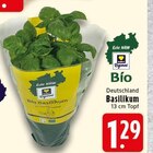 EDEKA Krefeld - Basilikum Angebot im Prospekt Basilikum bei EDEKA im Krefeld Prospekt für 1,29 €