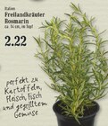 Aktuelles Freilandkräuter Rosmarin Angebot bei EDEKA in Bergisch Gladbach ab 2,22 €